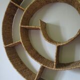 Round snail spiral shelf in sea rush