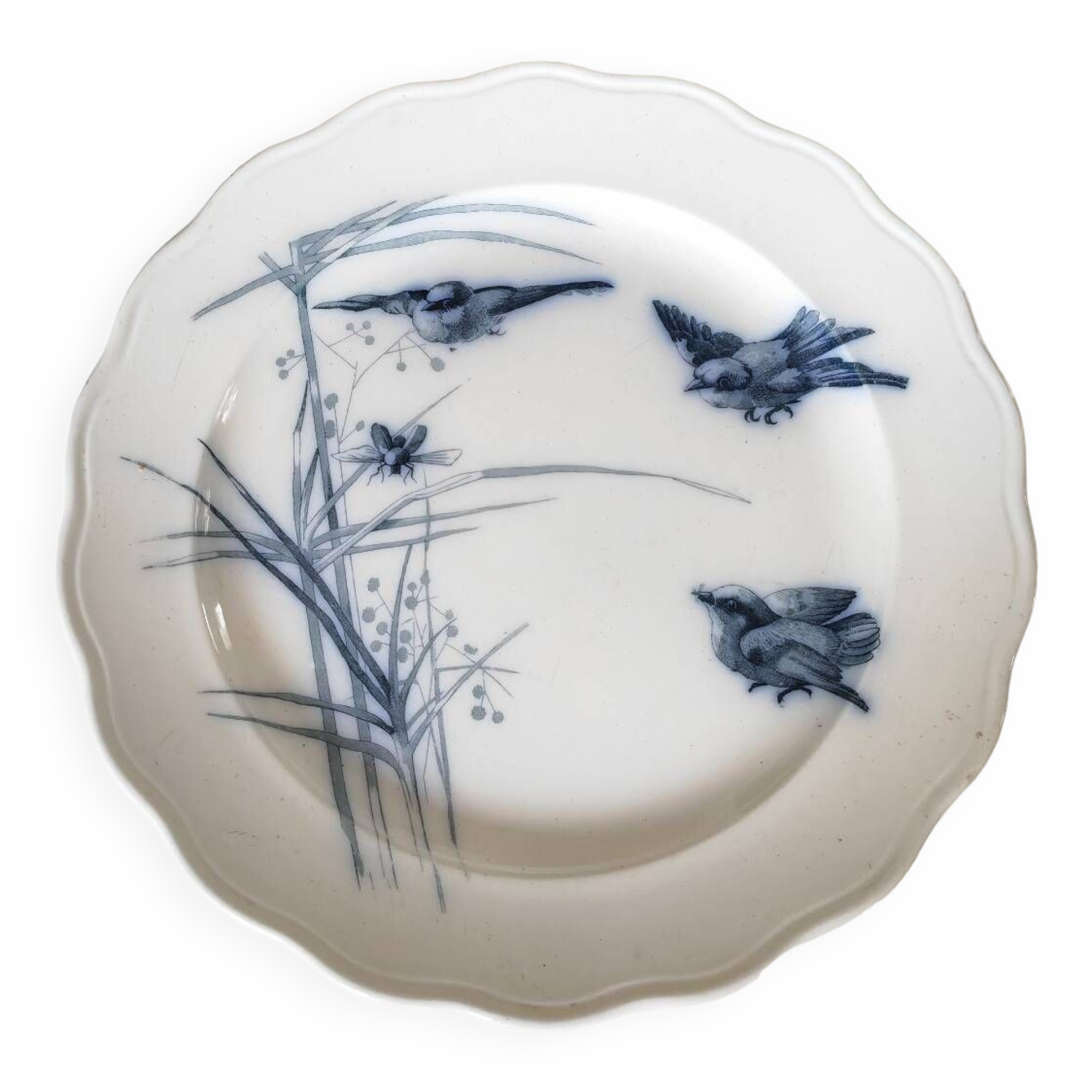 19th century dish bwm&co