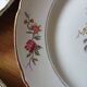 5 old Moulin des loups flat plates