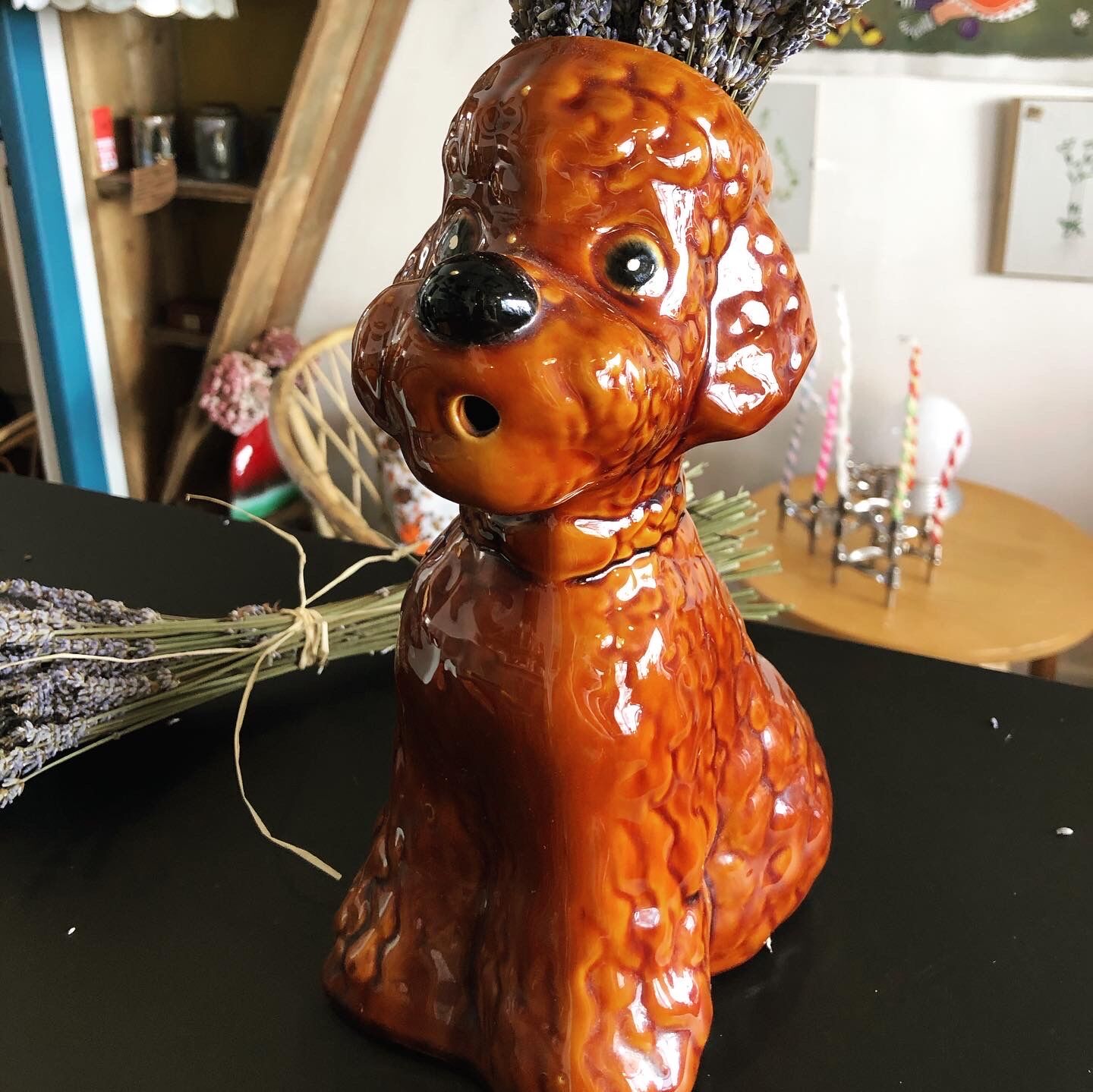 Pitcher in poodle slurry