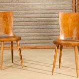 Suite of 4 baumann chairs Model Dove