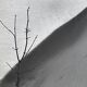 Old black and white silver photography early twentieth century