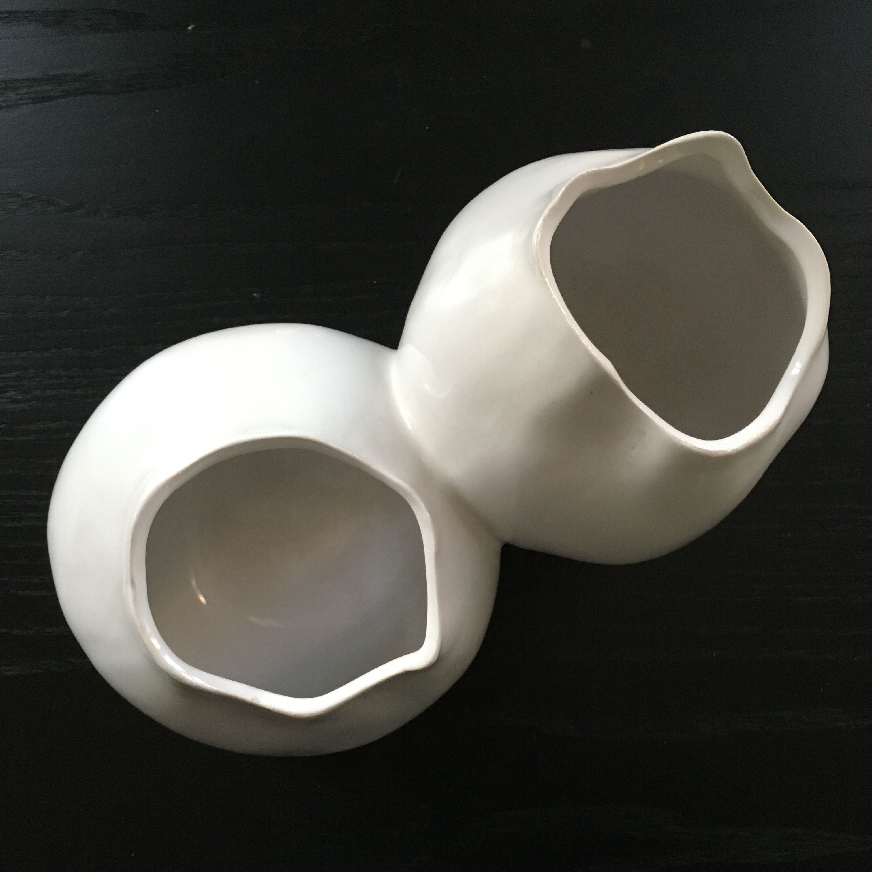 Double organic shaped vase