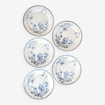 Lot de 5 assiettes plates en Terre de Fer Creil et Montereau modèle Perruche