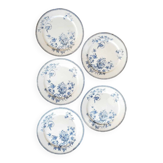 Lot de 5 assiettes plates en Terre de Fer Creil et Montereau modèle Perruche