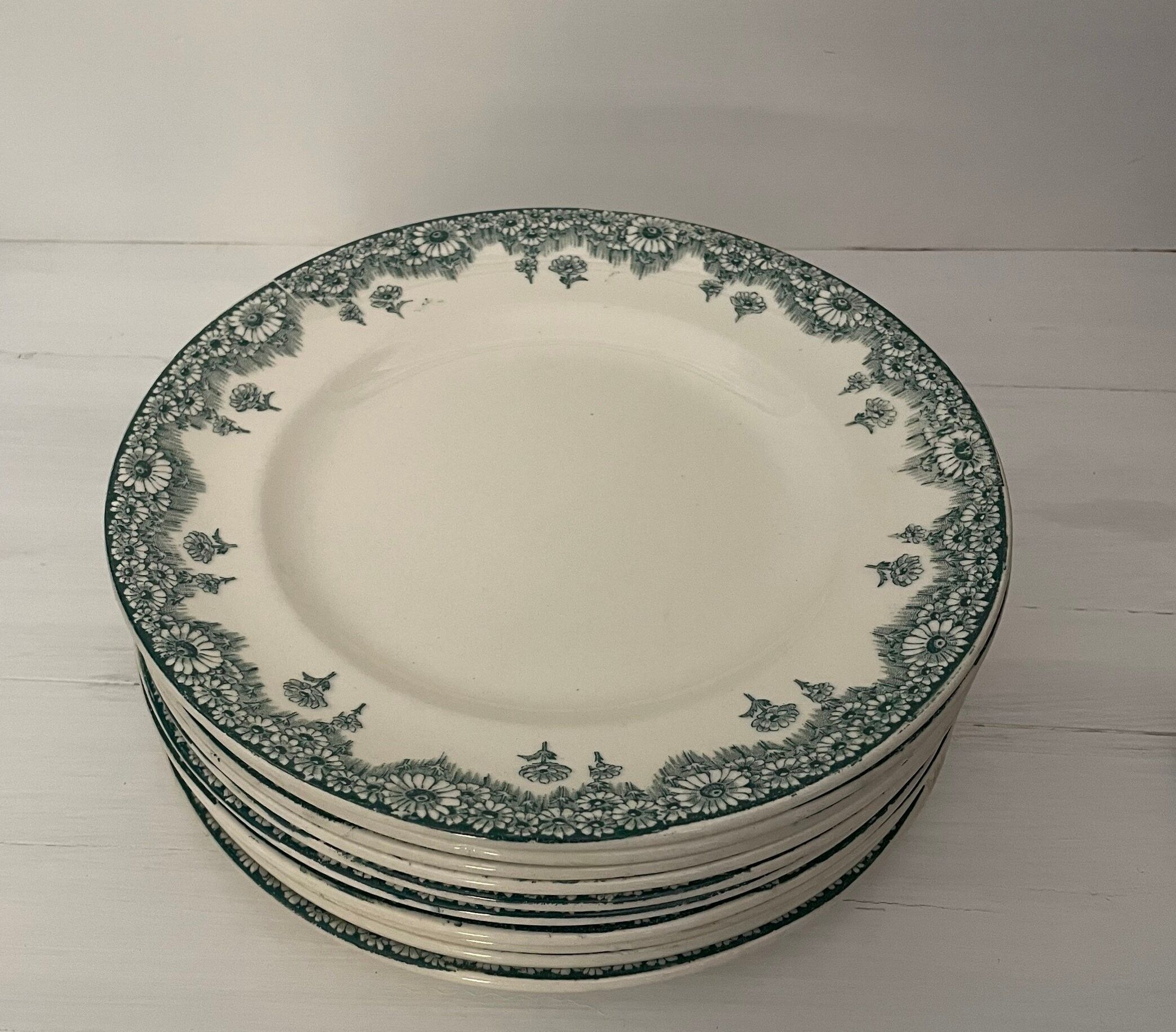 Set of 5 flat plates Terre de fer Longwy