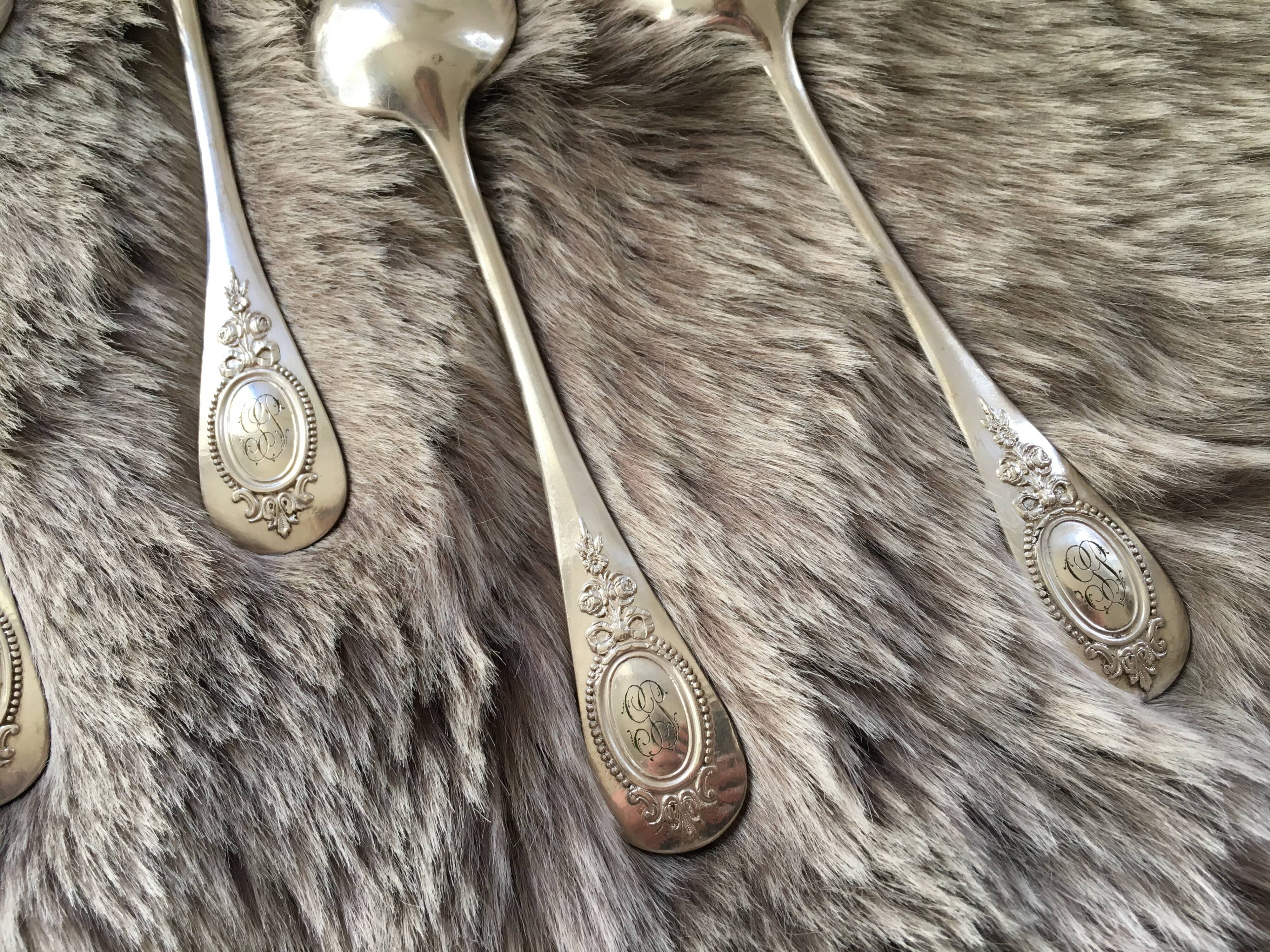 Cailar Bayard silver metal soup spoons