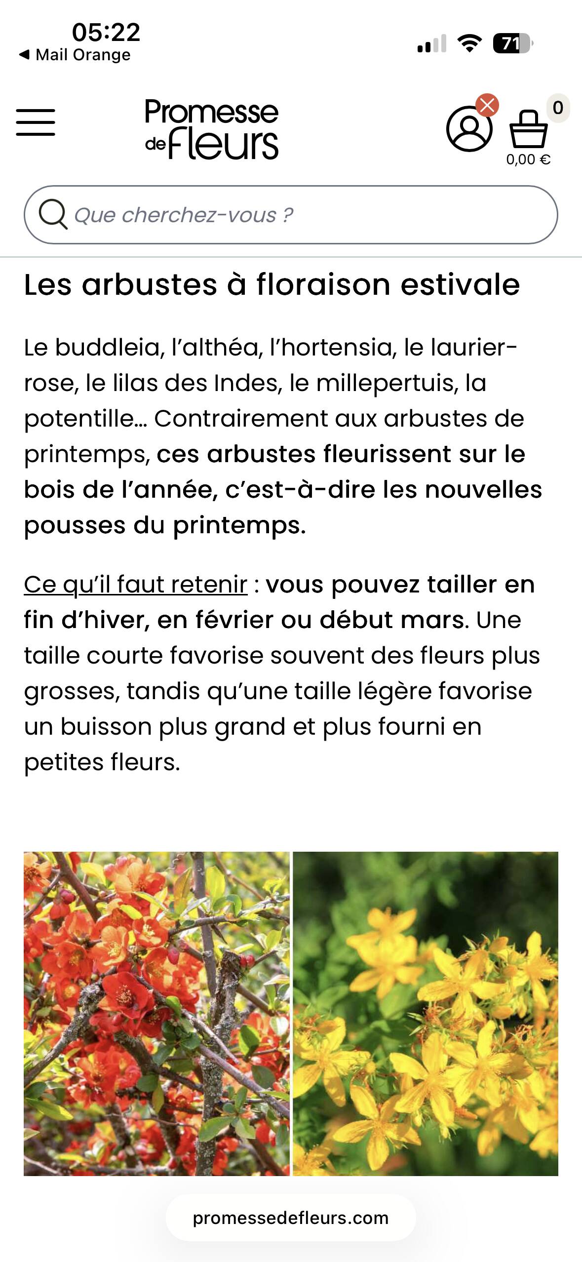 Directoire cherry wood bookcase