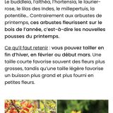 Directoire cherry wood bookcase