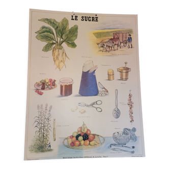 Sucre School Poster