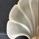 Shell wall lamp