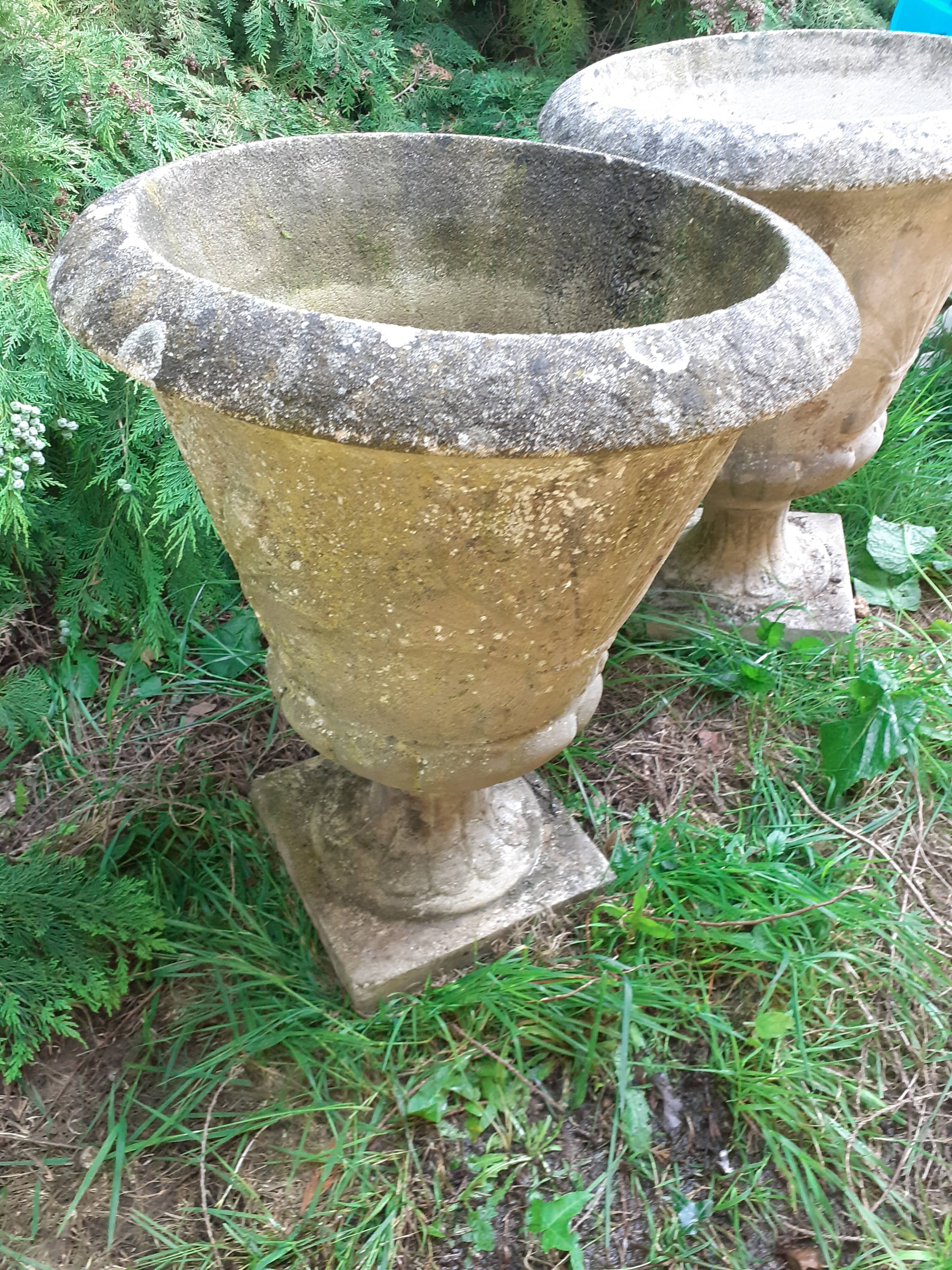 Pair of stone planter medicis