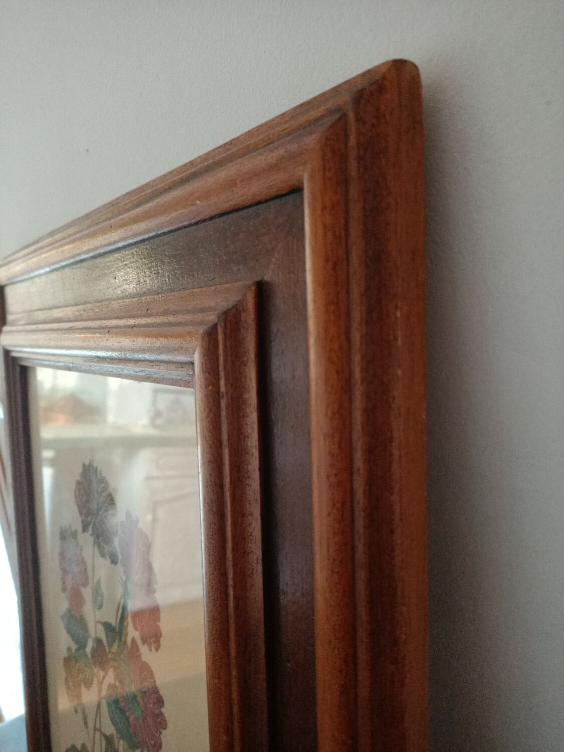 Hibiscus frame