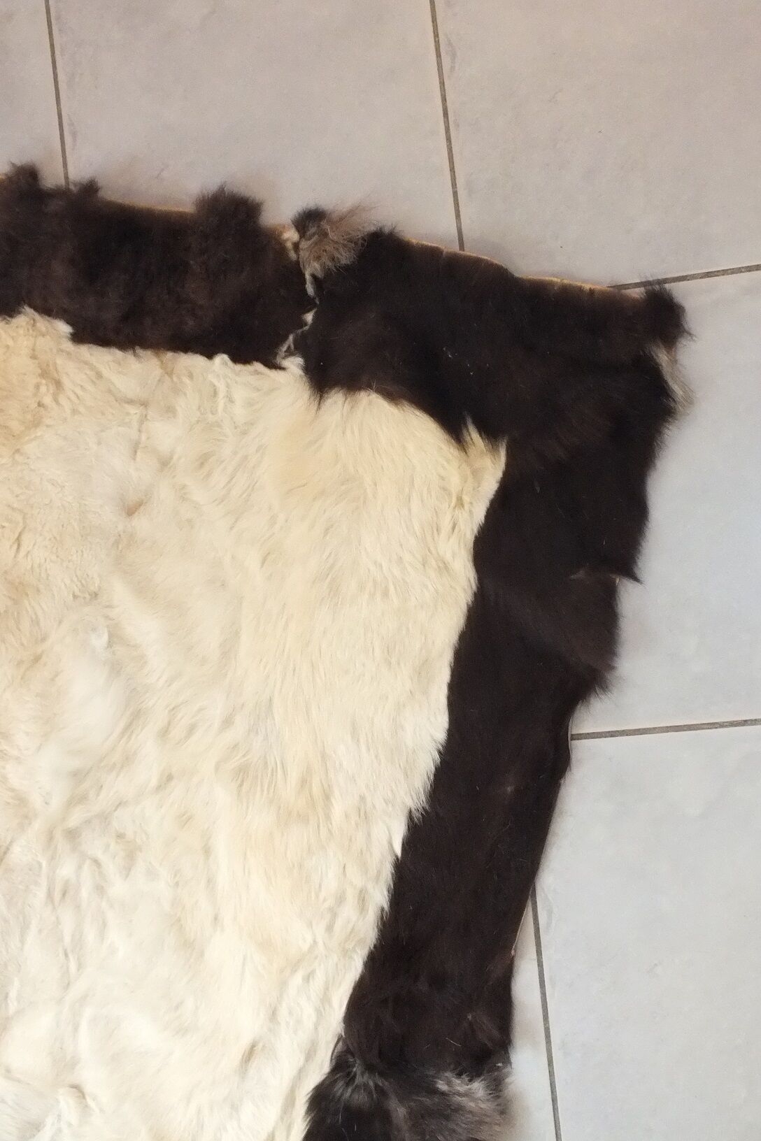 Tapis peau de vache de forme rectangulaire 149x84cm