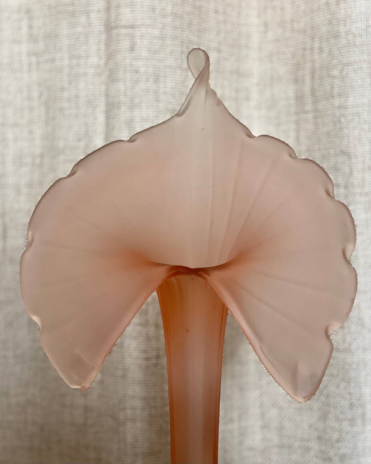 Leonardo vase in pink frosted glass