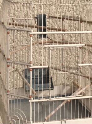 Old cage