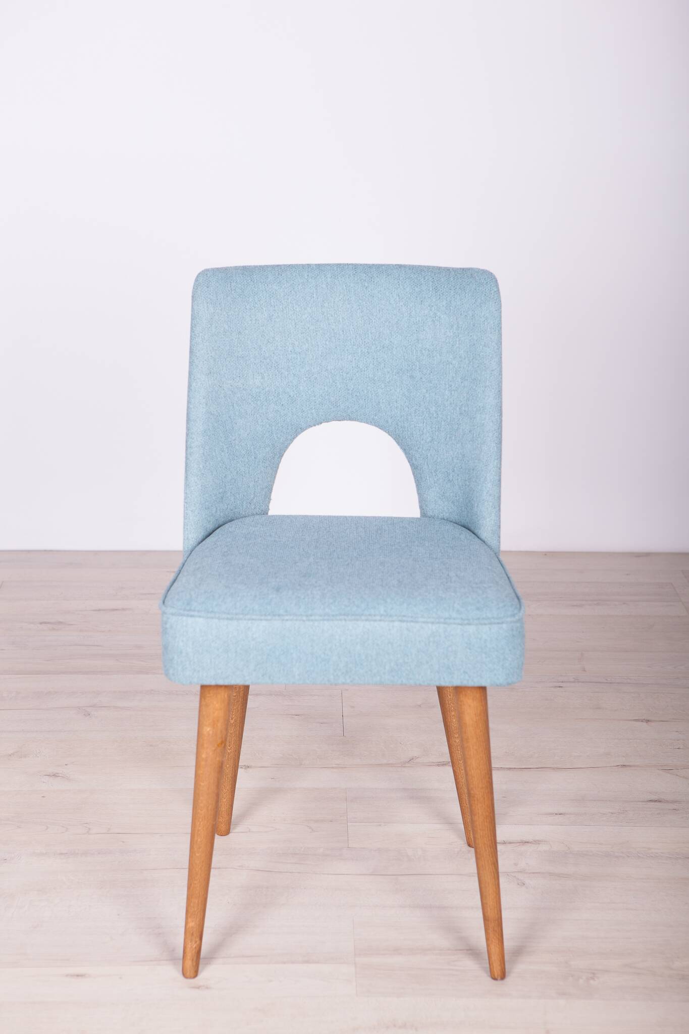 Polish Shell Chairs from Bydgoszcz Furniture Factory, 1960s, Set of 6