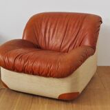 Swan armchairs, 1970s, set of 2