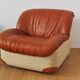 Set de 2 fauteuils cygne, 1970s