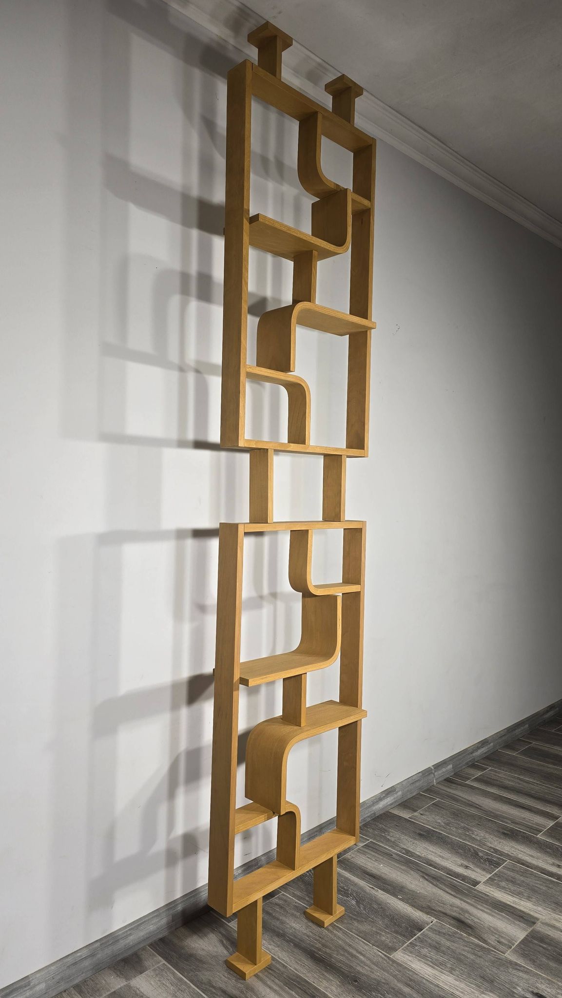 Room Divider by Ludvik Volak for Drevopodnik Holesov, 1950s