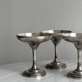 Set of 5 dessert or champagne glasses