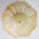 Abu Dhabi, Murano Glass Gold Flush Mount, 1970s