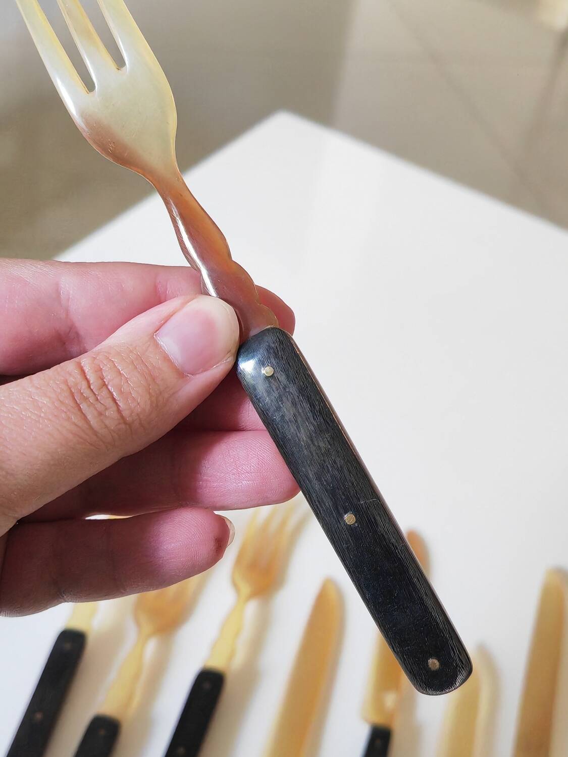 Fruit cutlery in blond and brown horn