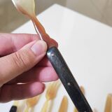 Fruit cutlery in blond and brown horn