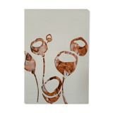 Poppies