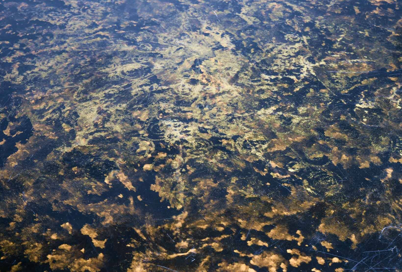 Handpainted Poul Cadovius Coffee Table Design by Susanne Fjeldsoe Mygge 70s