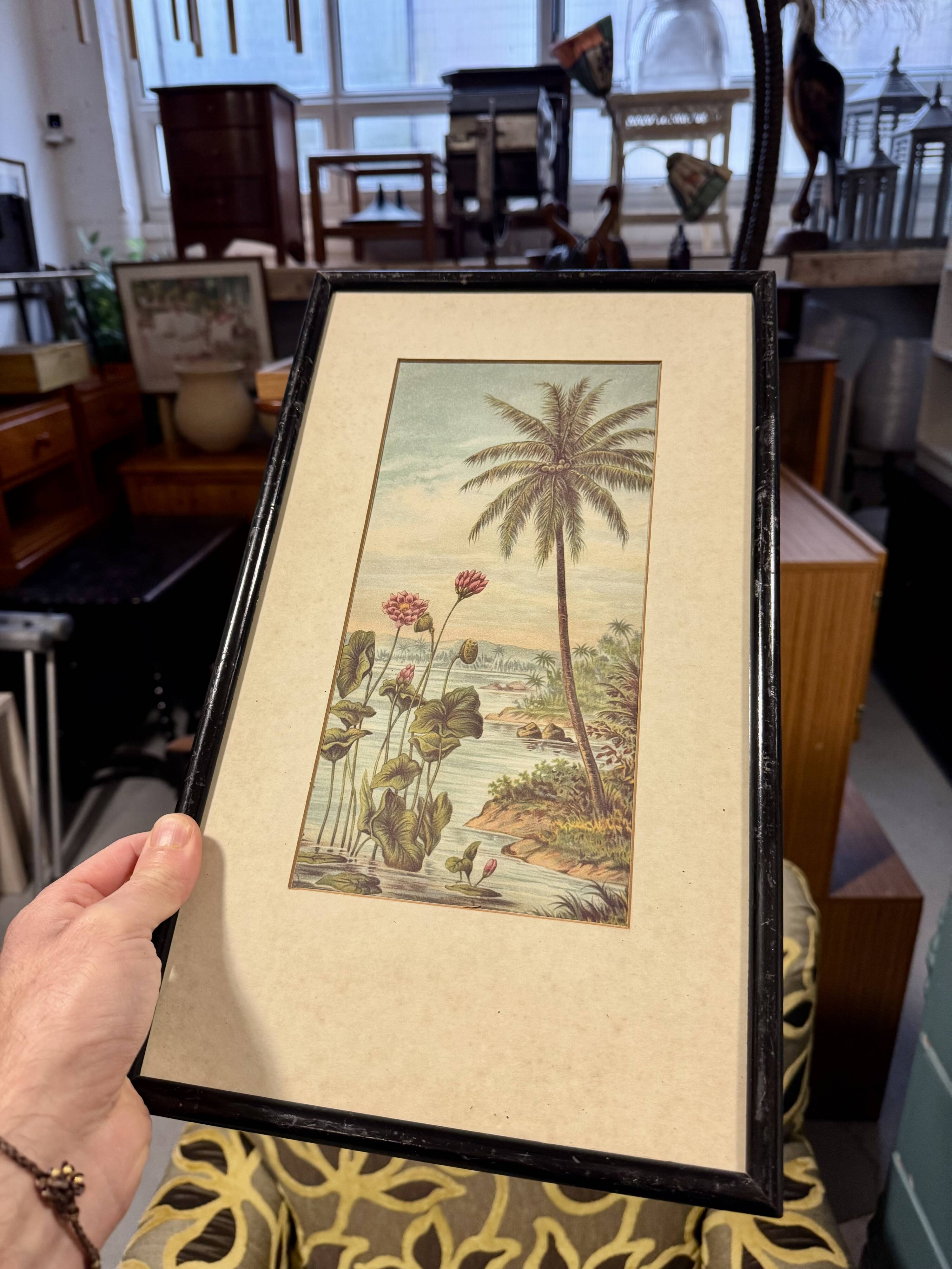 Vintage Print of Lotus Flower and Palm Tree Black Frame