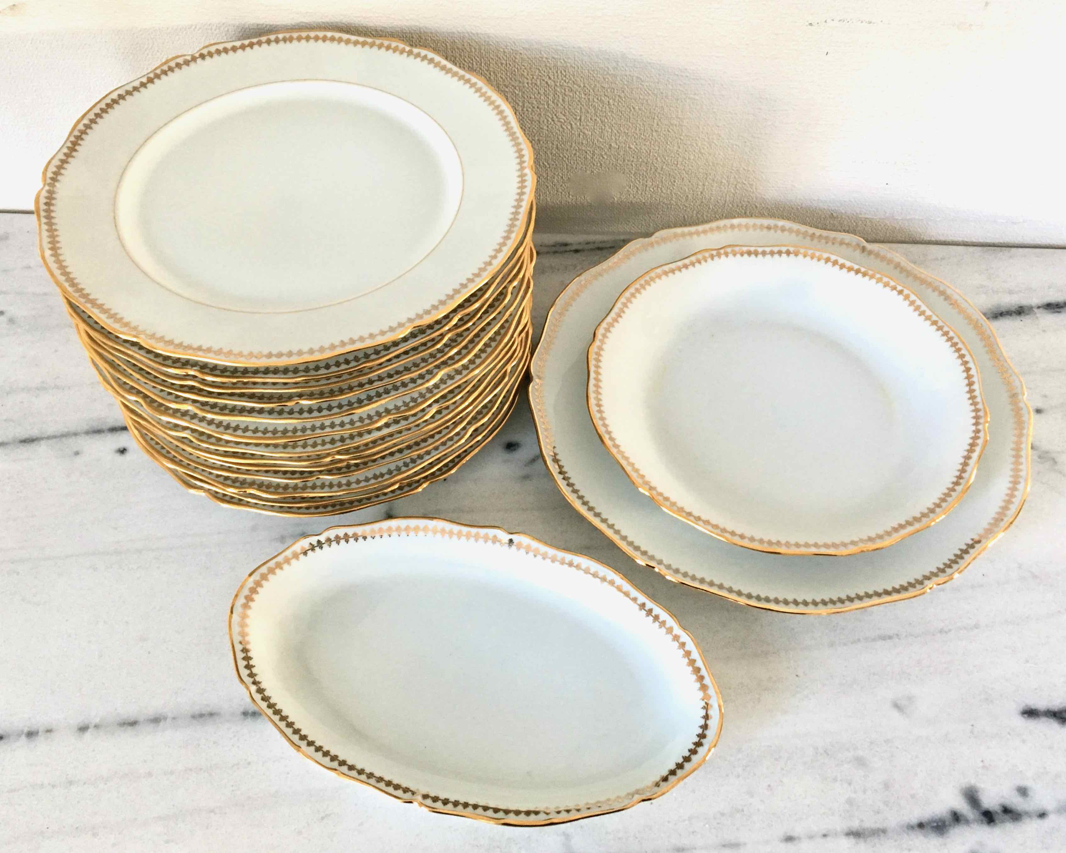 Set 12 plates and 3 dishes porcelain of Sologne