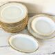 Set 12 plates and 3 dishes porcelain of Sologne