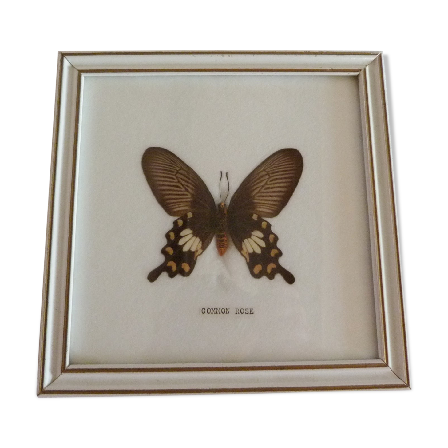 Butterfly frame