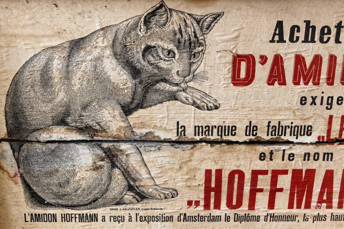 Malle en bois, amidon Le Chat Hoffmann