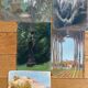 Paintings set of 5 drawings by Ed. Pannetier (1884-1965) Aix and Provence