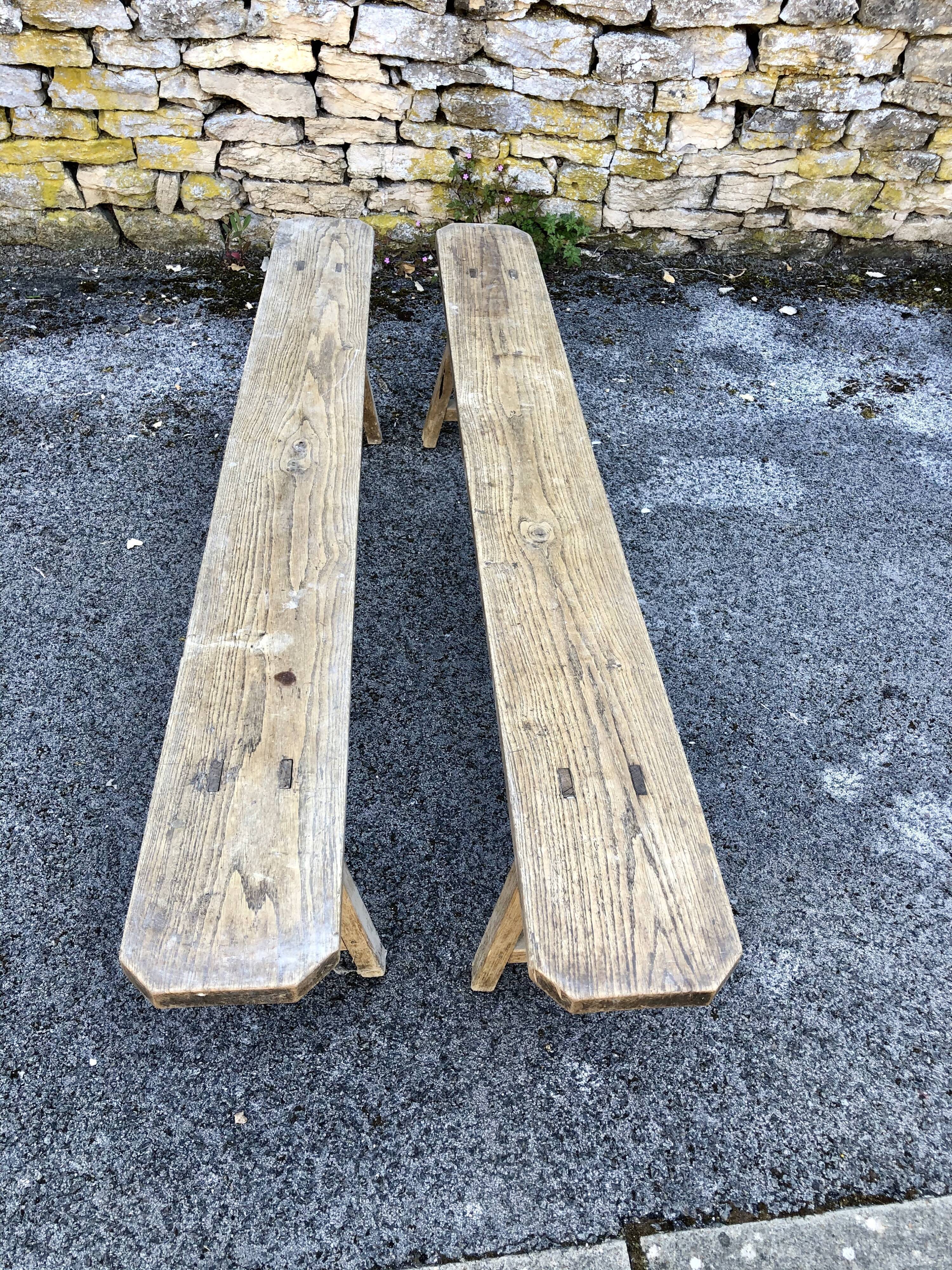 Pair of ancient benches in 19th century oak