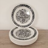 Set of 6 dessert plates