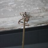 Vintage lacquered metal pendant from the 1950s, Herman Busquet for Hala.