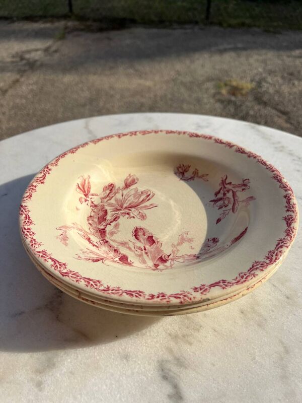 Assiette creuse cactus - gien