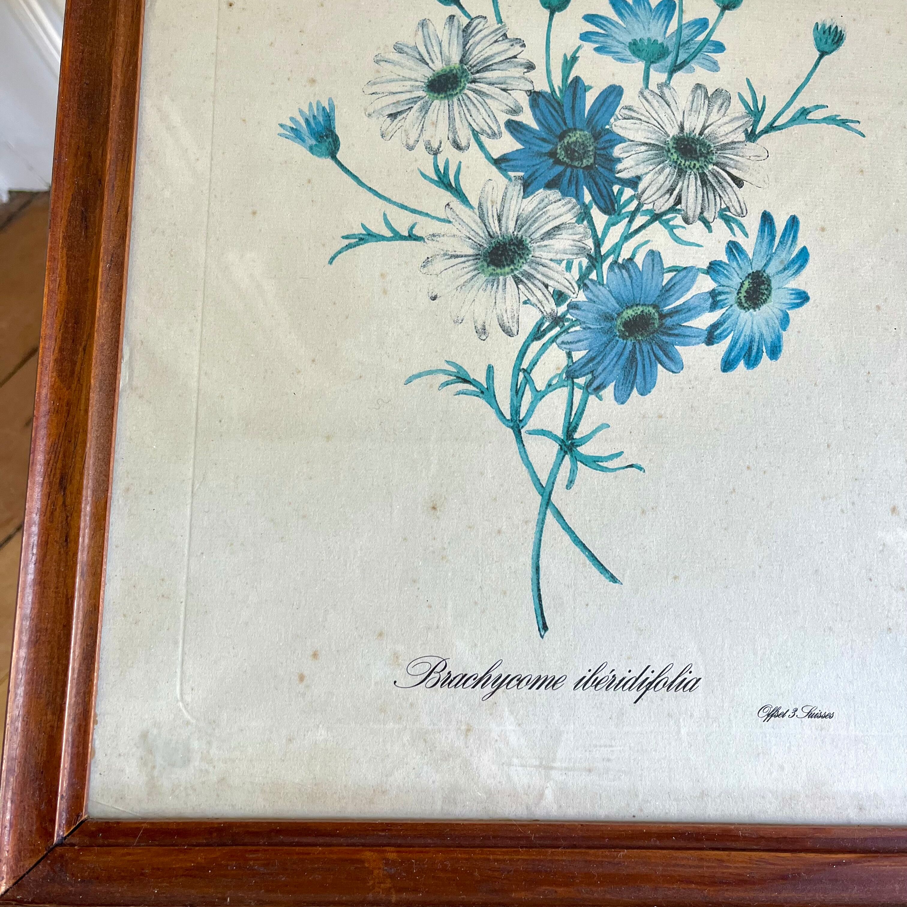 Vintage botanical board frame with blue flowers