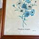 Vintage botanical board frame with blue flowers