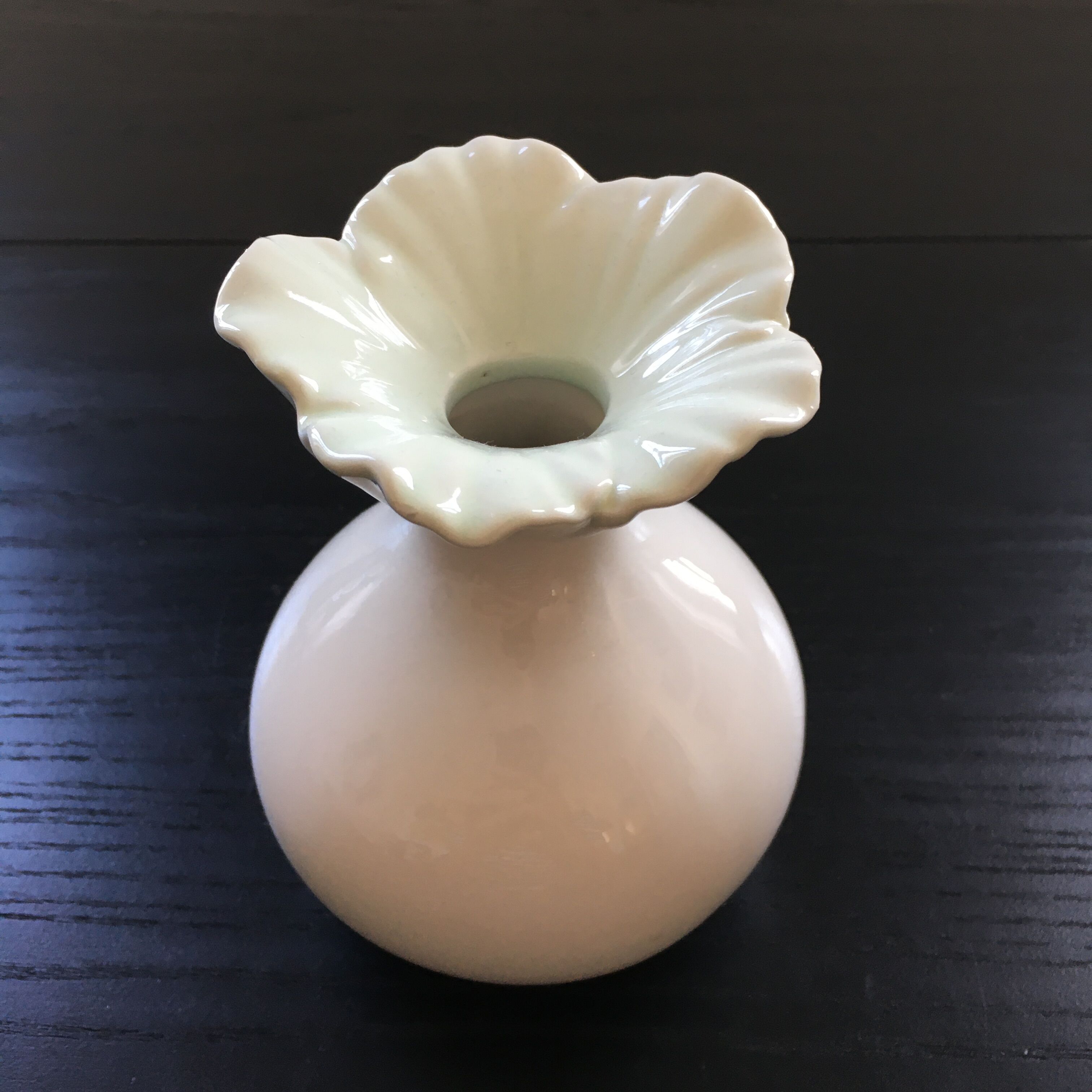 Soliflore white flower