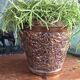 Copper pot cover