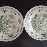 8 assiettes dessert fleurs