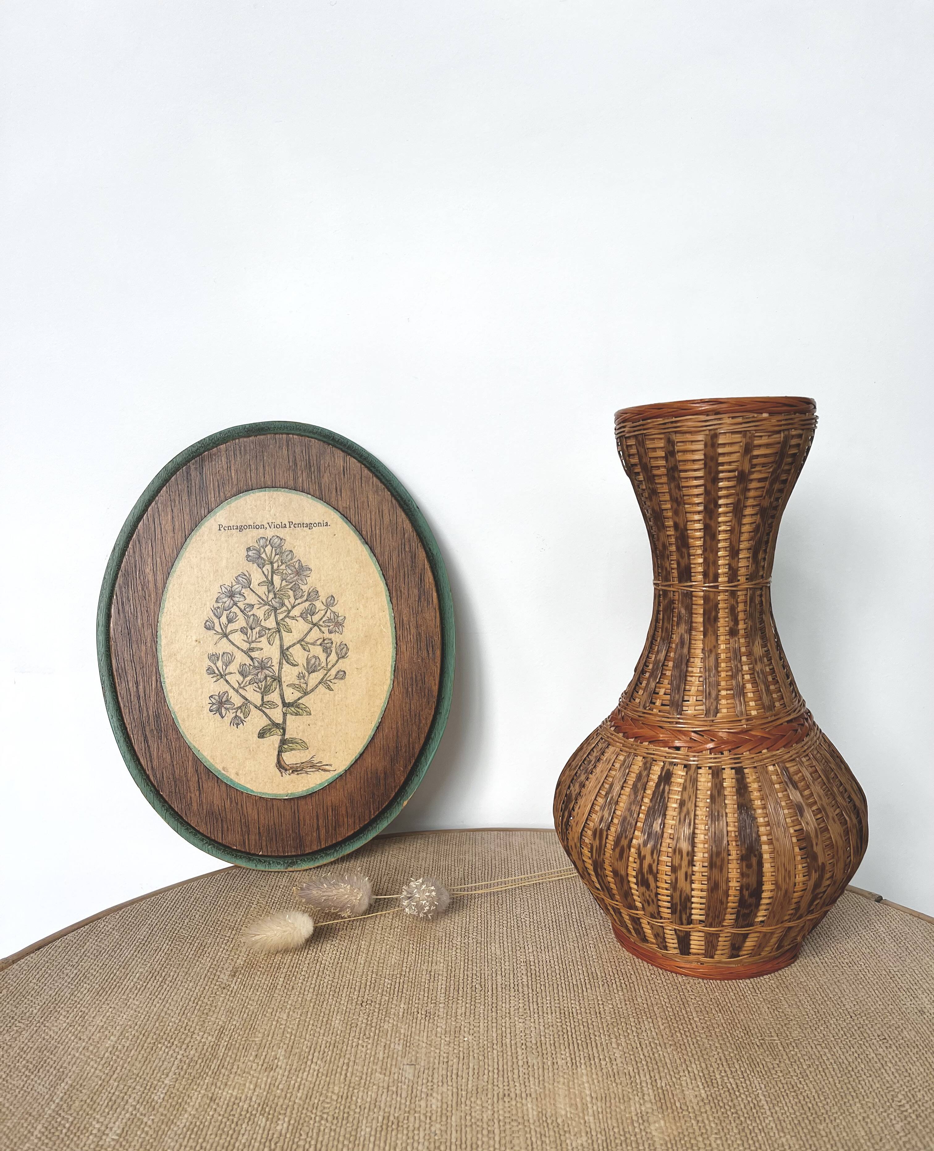 Herbarium botanical medallion plaque