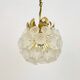 Floral Crystal Glass Chandelier by Ernst Palme