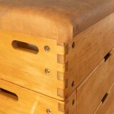 Unique Vaulting Box