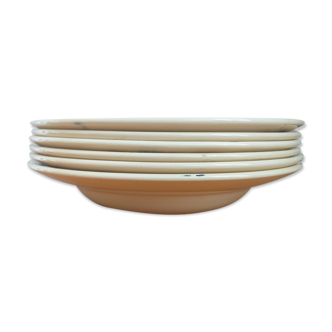 Hollow plates in Sarreguemines porcelain model 5049