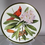 Franklin Wedgwood Singer Arthur plates 1977 x12 "songbirds of the world"